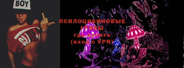 МДПВ Сим