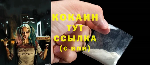 твердый Нягань