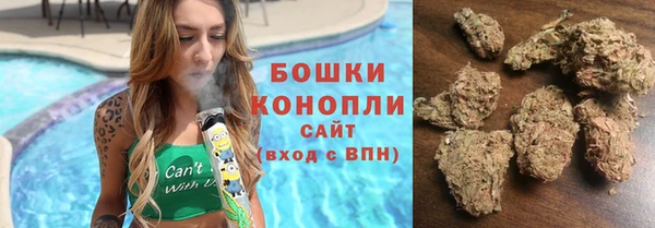 прущие грибы Шали
