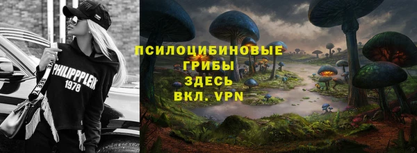 твердый Нягань