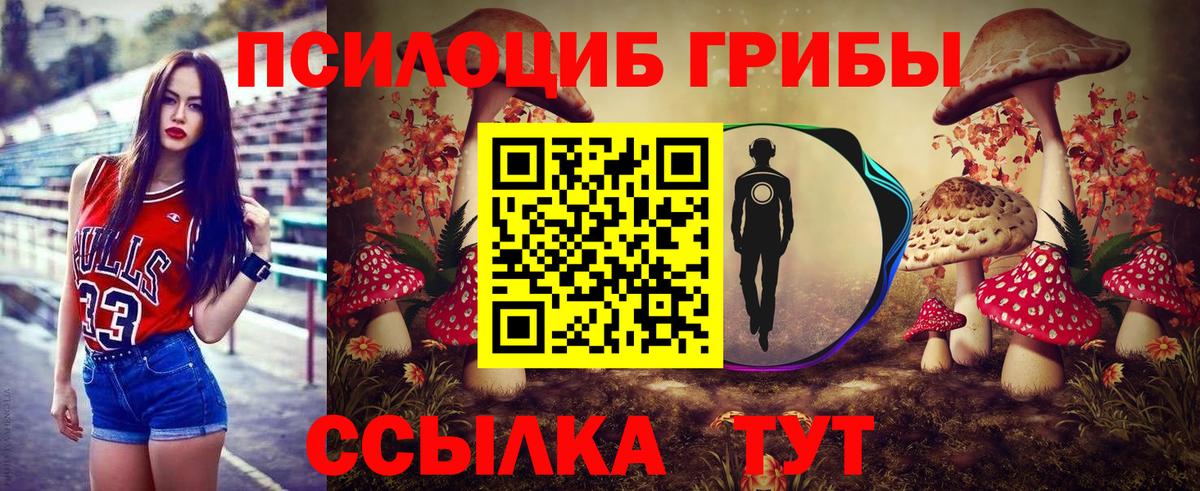 Галлюциногенные грибы Magic Shrooms Губаха