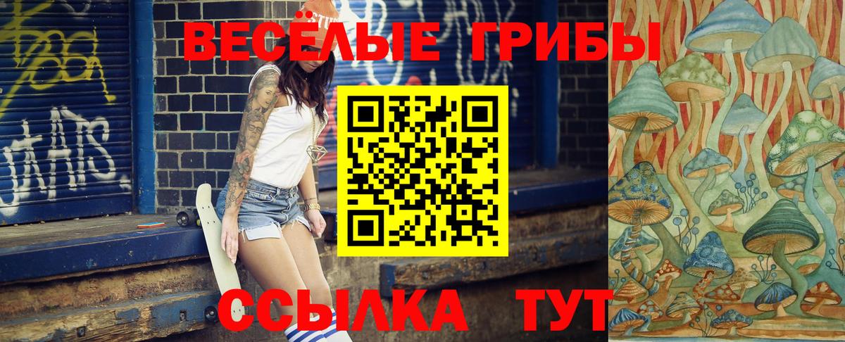 Псилоцибиновые грибы прущие грибы  Вход с VPN  Губаха 