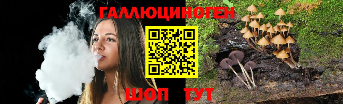 Псилоцибиновые грибы ЛСД  Губаха 